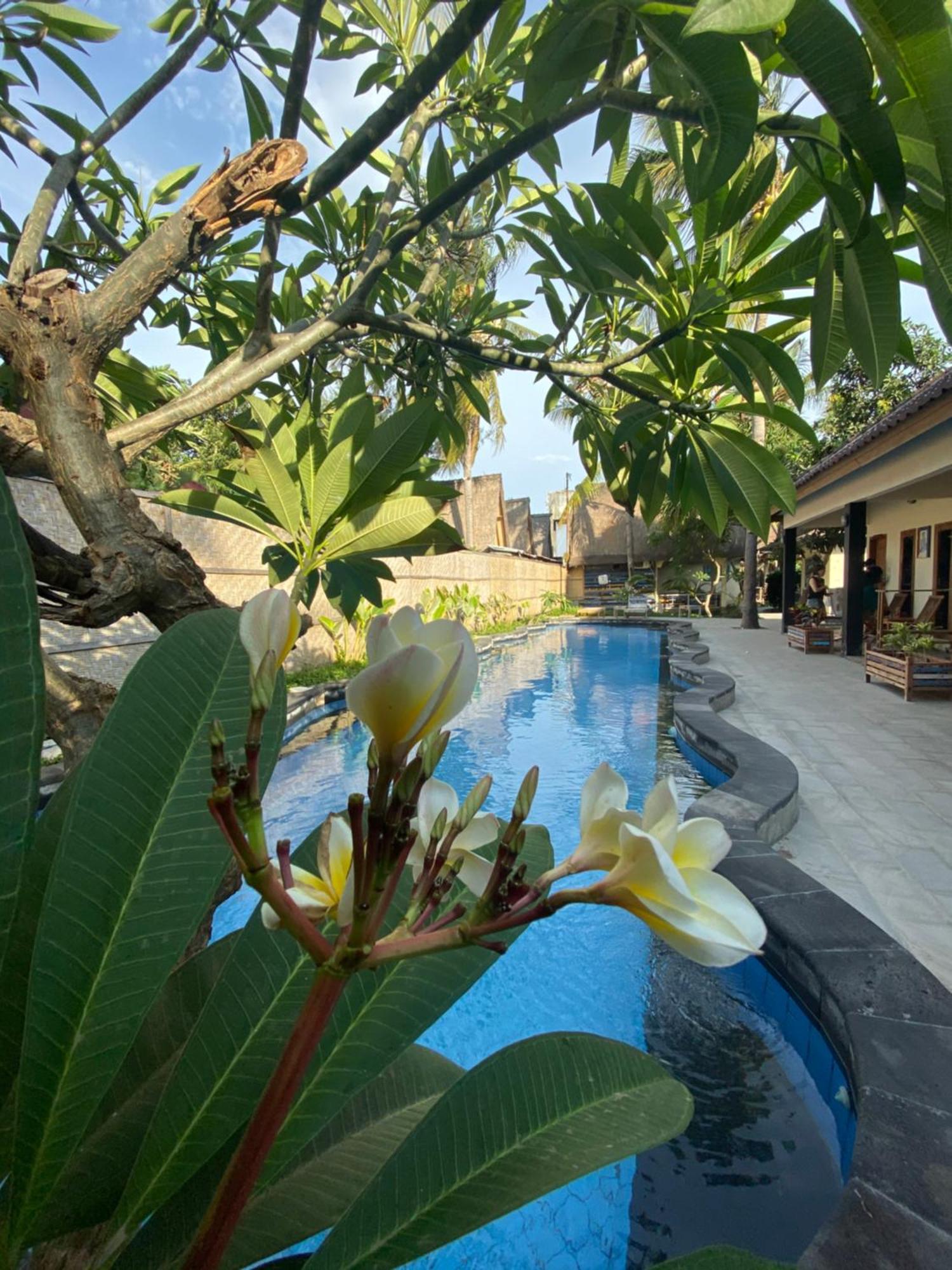 Sama Sama Bungalows Gili Trawangan Esterno foto